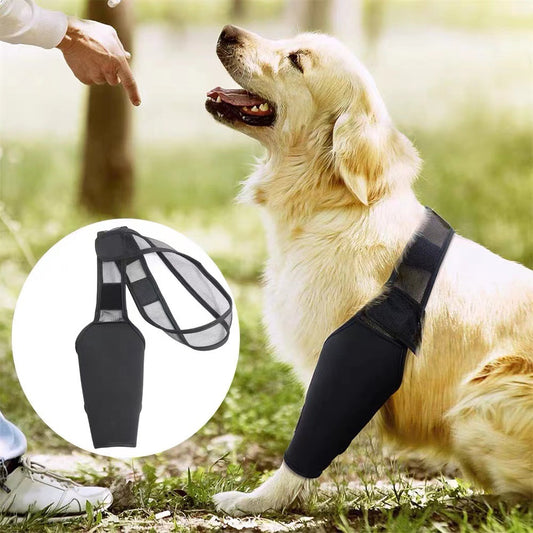 Protector de Movilidad AURA Support - Soporte Ajustable para Patas Delanteras y Traseras