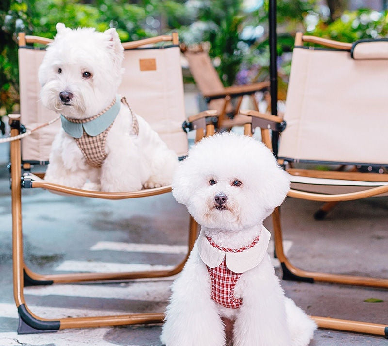 Arnés de Paseo AURA Chic - Chaleco Ajustable de Cuadros para Perros Pequeños