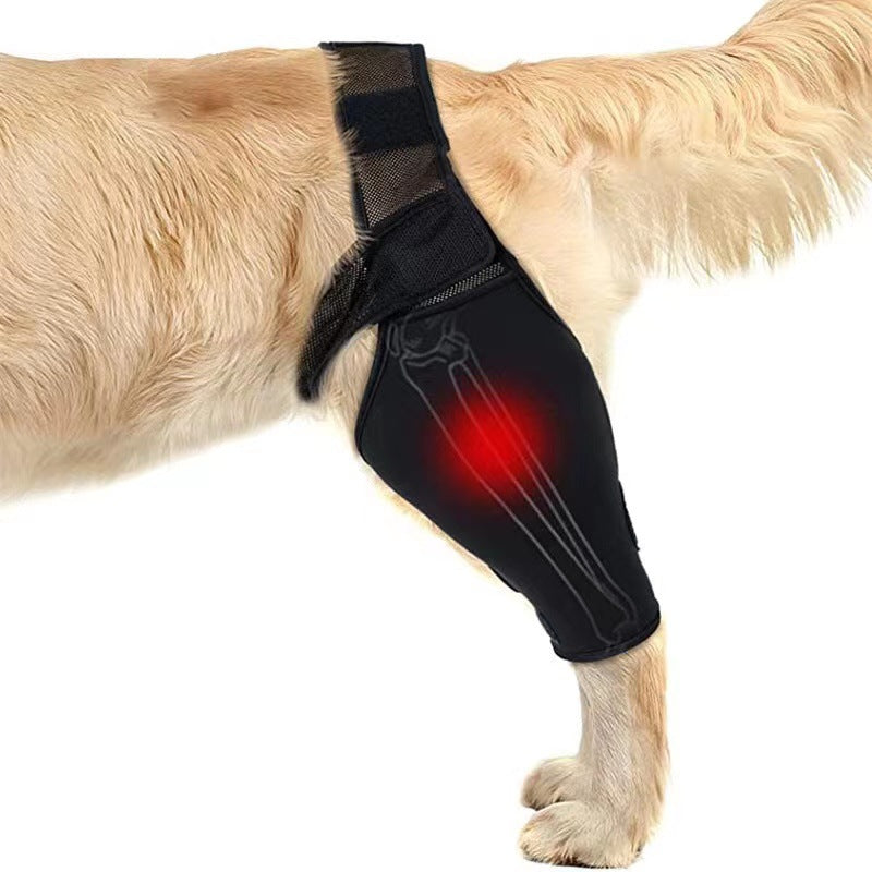 Protector de Movilidad AURA Support - Soporte Ajustable para Patas Delanteras y Traseras