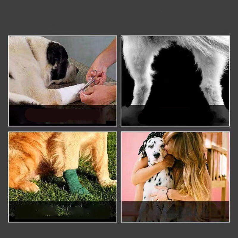 Protector de Movilidad AURA Support - Soporte Ajustable para Patas Delanteras y Traseras