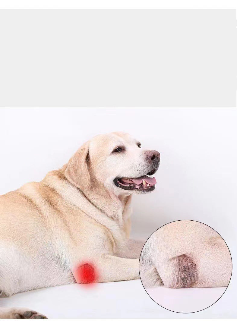 Protector de Movilidad AURA Support - Soporte Ajustable para Patas Delanteras y Traseras