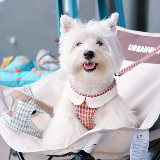 Arnés de Paseo AURA Chic - Chaleco Ajustable de Cuadros para Perros Pequeños