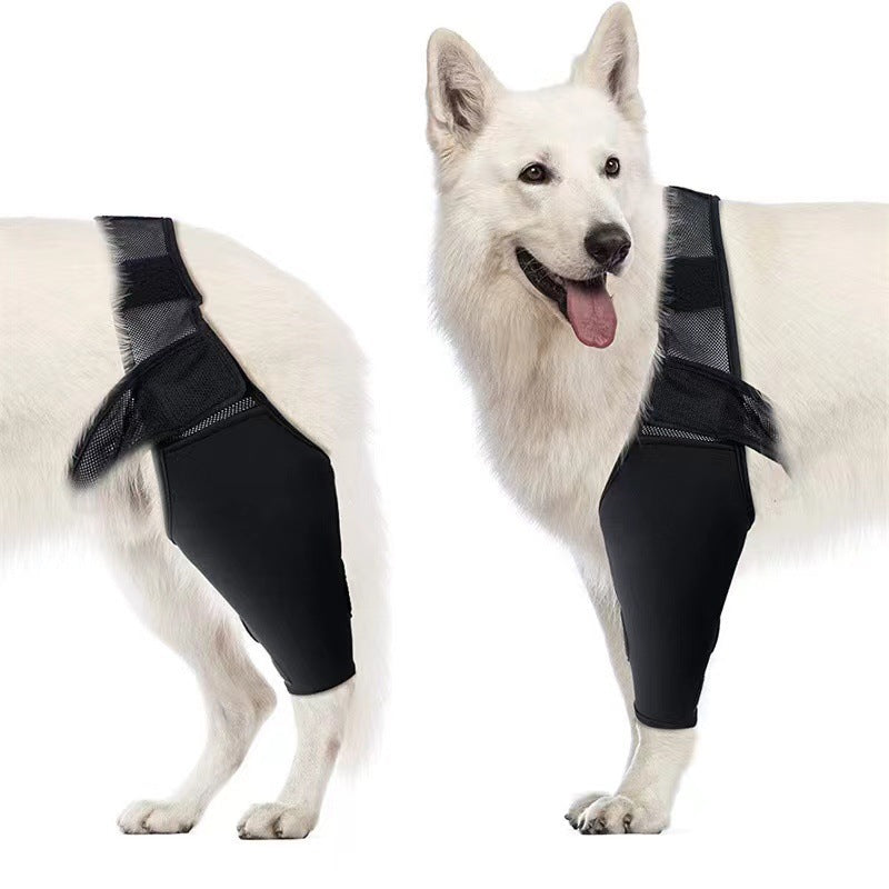 Protector de Movilidad AURA Support - Soporte Ajustable para Patas Delanteras y Traseras