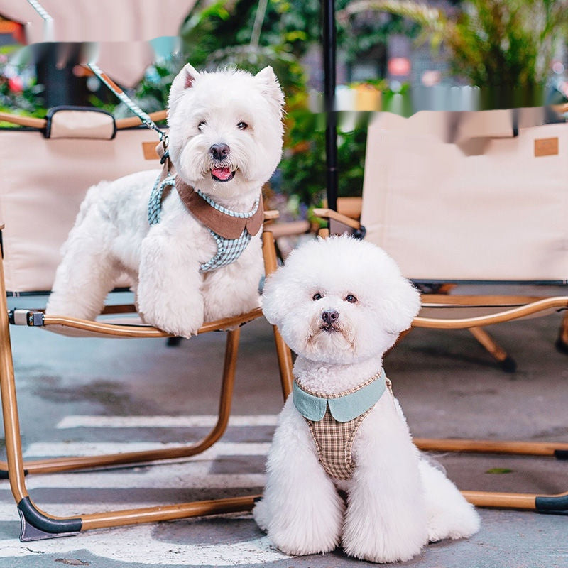 Arnés de Paseo AURA Chic - Chaleco Ajustable de Cuadros para Perros Pequeños