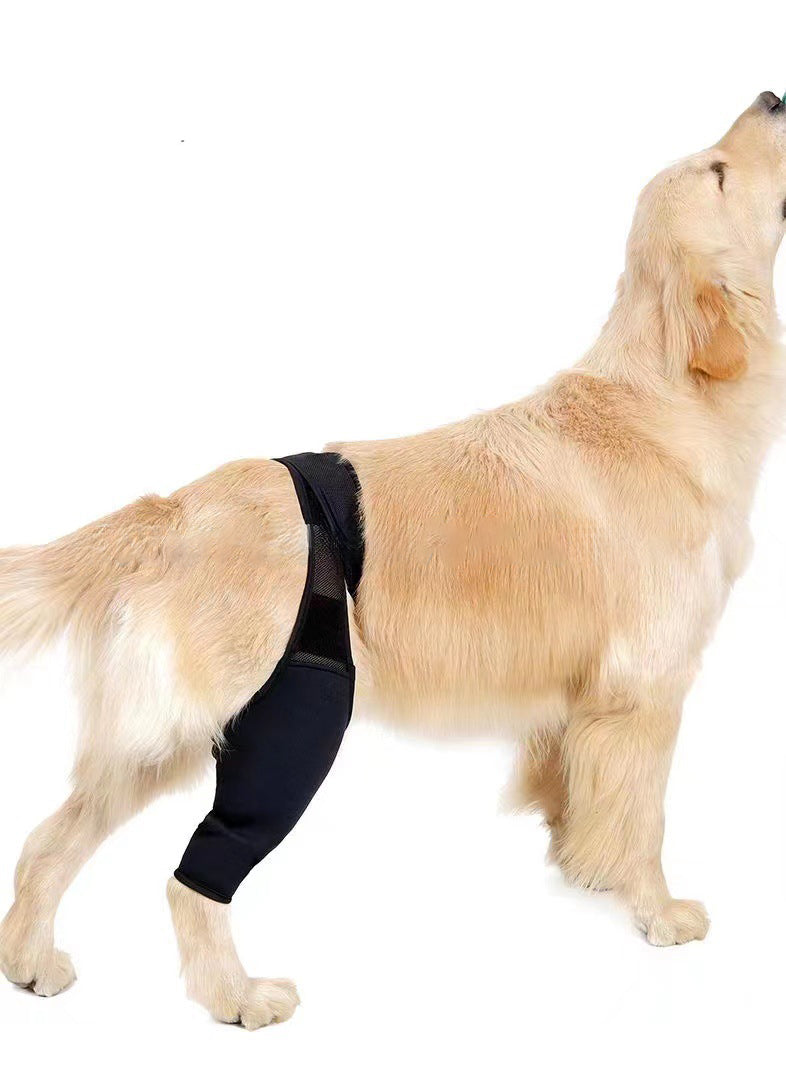 Protector de Movilidad AURA Support - Soporte Ajustable para Patas Delanteras y Traseras