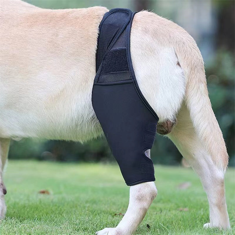 Protector de Movilidad AURA Support - Soporte Ajustable para Patas Delanteras y Traseras